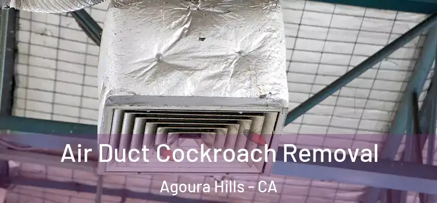 Air Duct Cockroach Removal Agoura Hills - CA
