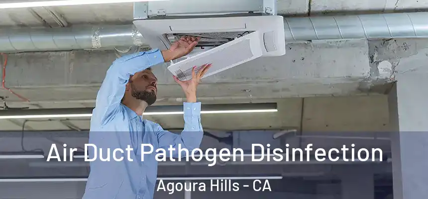  Air Duct Pathogen Disinfection Agoura Hills - CA