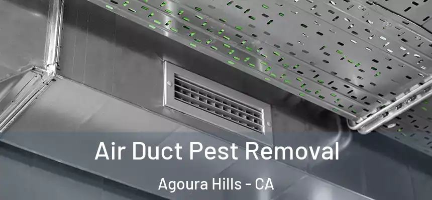 Air Duct Pest Removal Agoura Hills - CA
