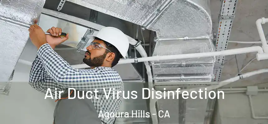 Air Duct Virus Disinfection Agoura Hills - CA
