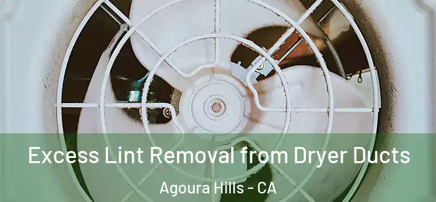 Excess Lint Removal from Dryer Ducts Agoura Hills - CA