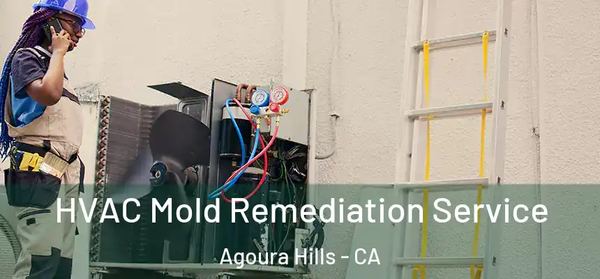 HVAC Mold Remediation Service Agoura Hills - CA