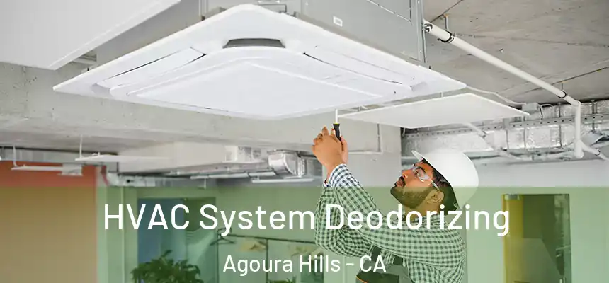 HVAC System Deodorizing Agoura Hills - CA