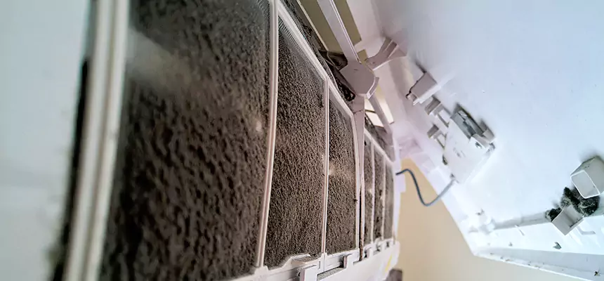 Preventive Air Duct Bacteria Removal in Agoura Hills