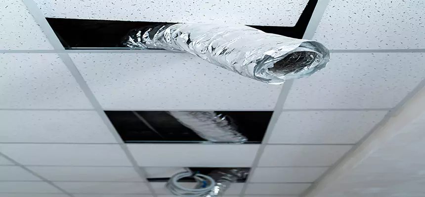 Our Air Duct Pet Hair Removal Services in Agoura Hills, CA