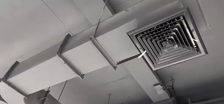 Restorative Allergy Relief Vent Cleaning – Coil, Blower & Housing Detail in Agoura Hills