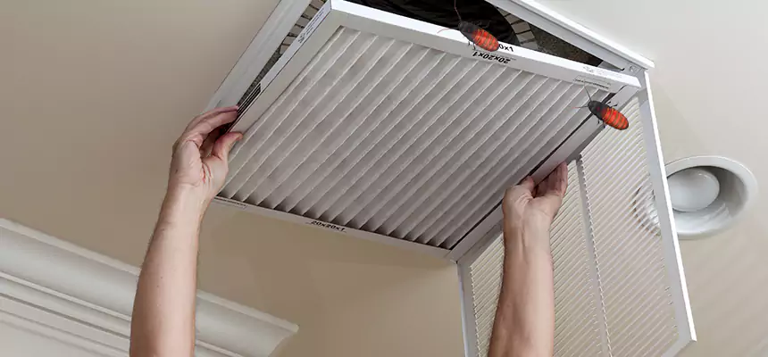Our Insect Removal from Air Ducts Services in Agoura Hills, CA