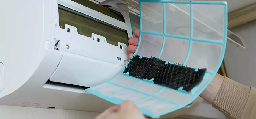 Gentle Ductwork Odor-Control Pet Dander Duct Cleaning in Agoura Hills, CA