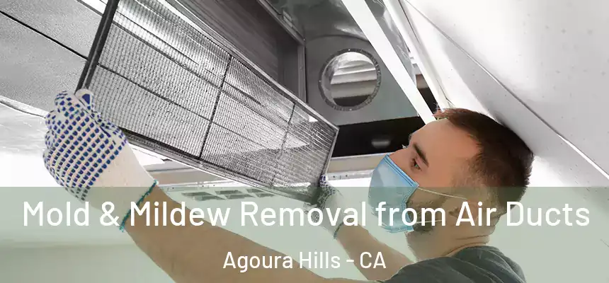 Mold & Mildew Removal from Air Ducts Agoura Hills - CA