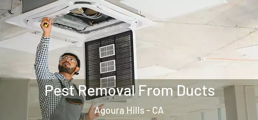 Pest Removal From Ducts Agoura Hills - CA
