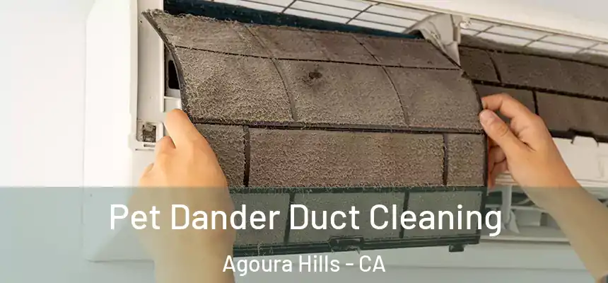 Pet Dander Duct Cleaning Agoura Hills - CA