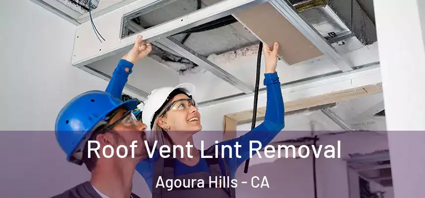Roof Vent Lint Removal Agoura Hills - CA
