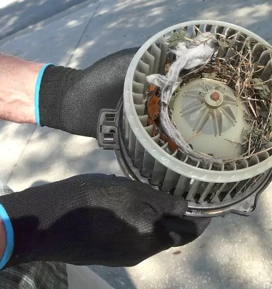 About Air Duct Rat Removal in Agoura Hills, CA