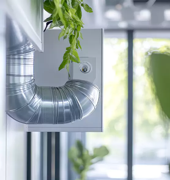 Professional Eco-Friendly Duct Cleaning Services in Agoura Hills, CA