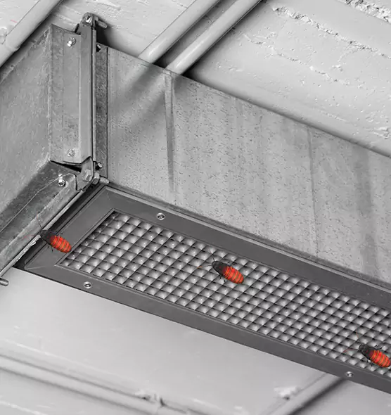 Affordable Insect Removal from Air Ducts in Agoura Hills, CA