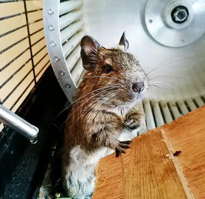 Why Homeowners & Businesses Trust Us Agoura Hills, CA?