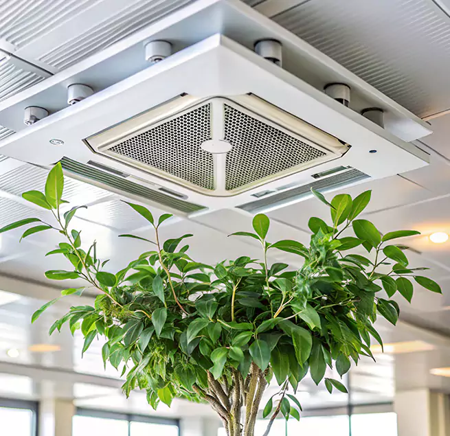 Why Homeowners & Businesses Trust Us in Agoura Hills, CA?